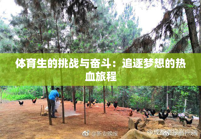 体育生的挑战与奋斗：追逐梦想的热血旅程