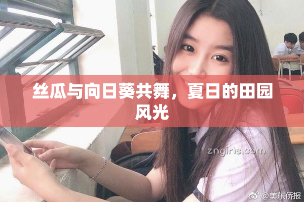 丝瓜与向日葵共舞，夏日的田园风光