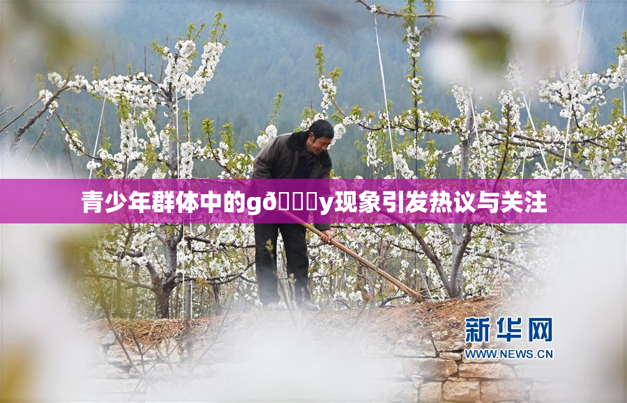 青少年群体中的g🈚y现象引发热议与关注