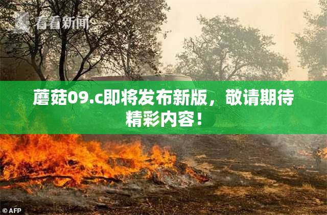 蘑菇09.c即将发布新版，敬请期待精彩内容！