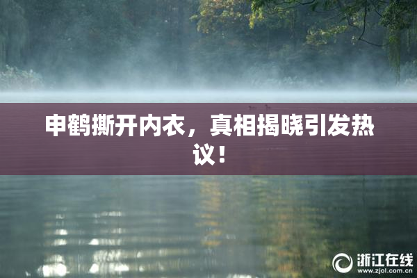 申鹤撕开内衣，真相揭晓引发热议！