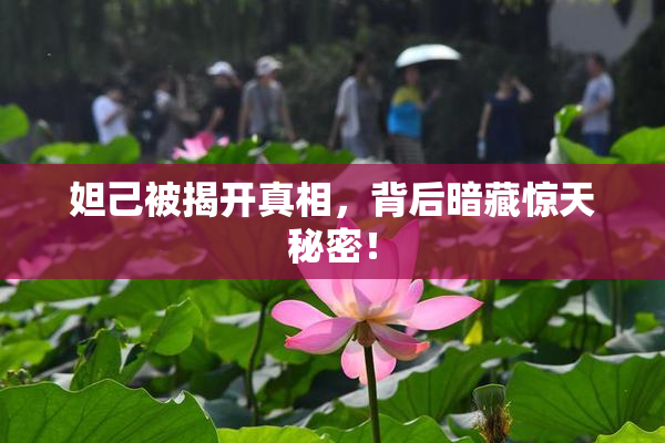 妲己被揭开真相，背后暗藏惊天秘密！