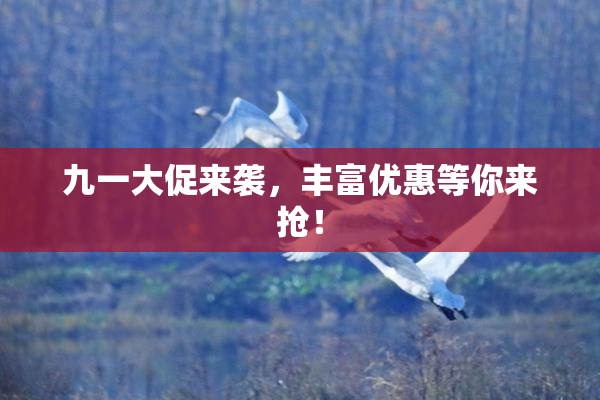 九一大促来袭，丰富优惠等你来抢！