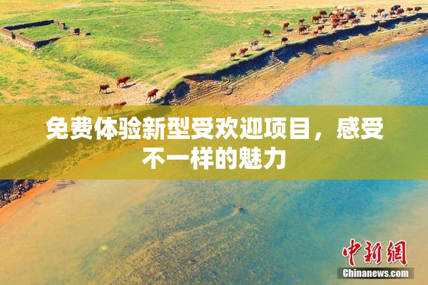 免费体验新型受欢迎项目，感受不一样的魅力