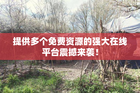 提供多个免费资源的强大在线平台震撼来袭！