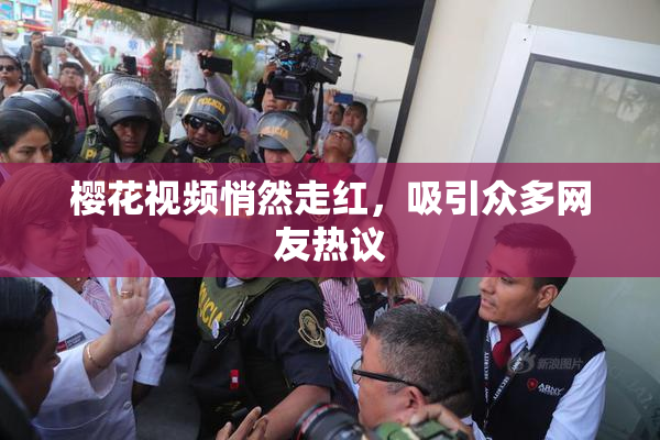 樱花视频悄然走红，吸引众多网友热议