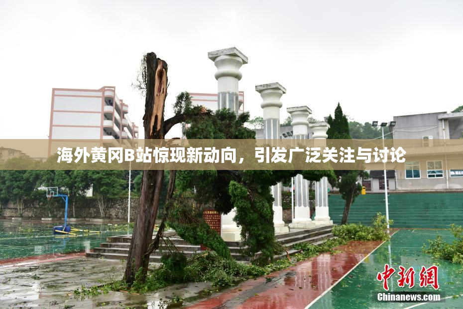 海外黄冈B站惊现新动向，引发广泛关注与讨论