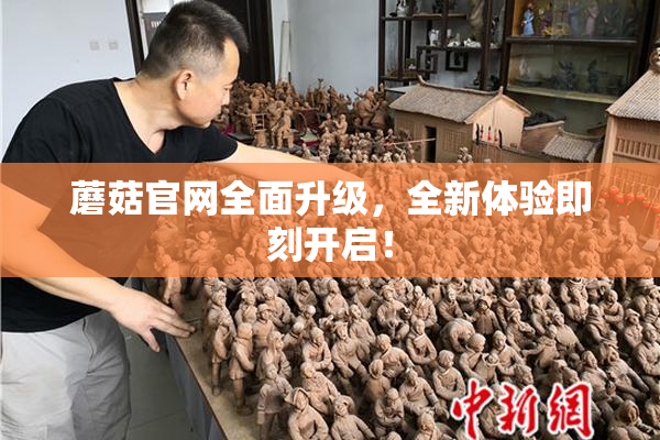 蘑菇官网全面升级，全新体验即刻开启！