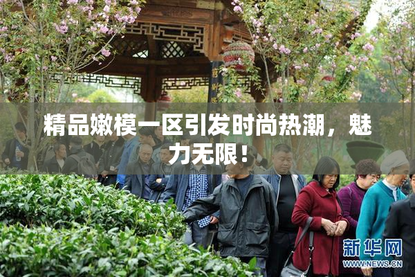 精品嫩模一区引发时尚热潮，魅力无限！