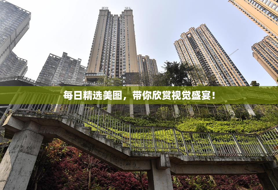 每日精选美图，带你欣赏视觉盛宴！