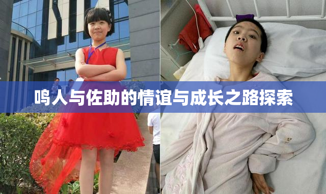 鸣人与佐助的情谊与成长之路探索