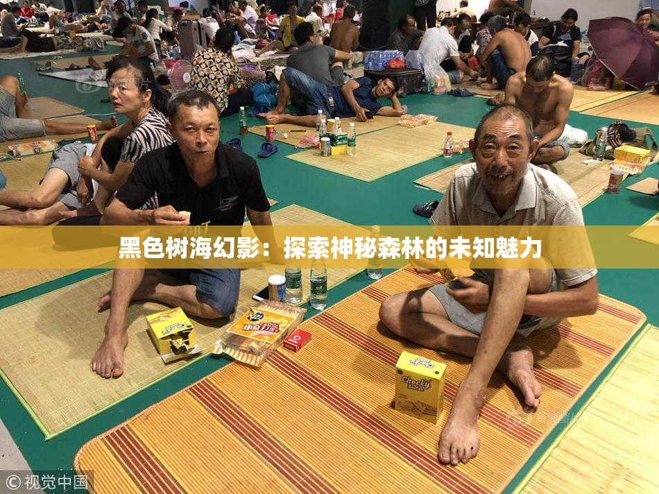黑色树海幻影：探索神秘森林的未知魅力