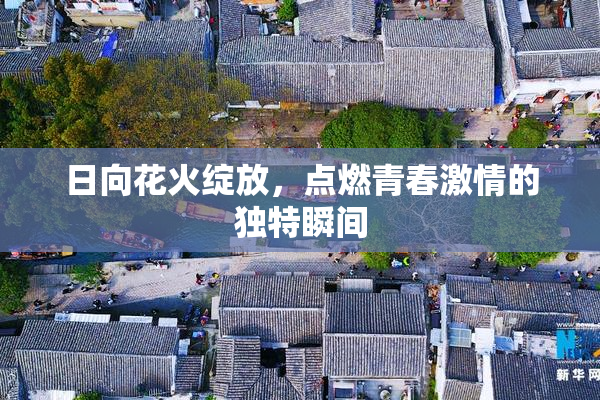 日向花火绽放，点燃青春激情的独特瞬间