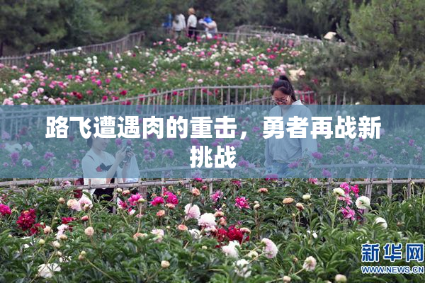 路飞遭遇肉的重击，勇者再战新挑战