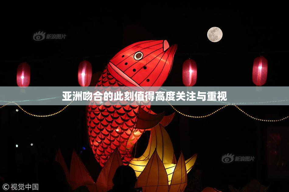 亚洲吻合的此刻值得高度关注与重视