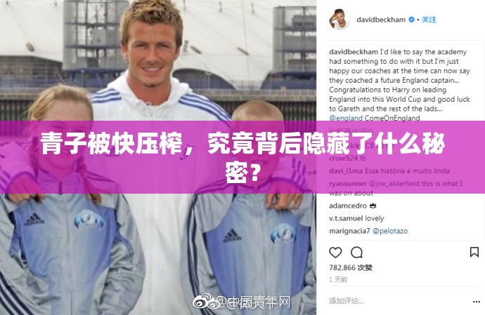 青子被快压榨，究竟背后隐藏了什么秘密？