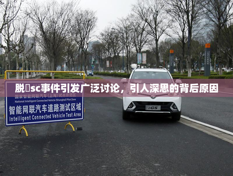 脱糞sc事件引发广泛讨论，引人深思的背后原因