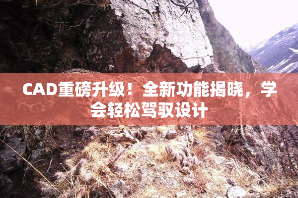 CAD重磅升级！全新功能揭晓，学会轻松驾驭设计
