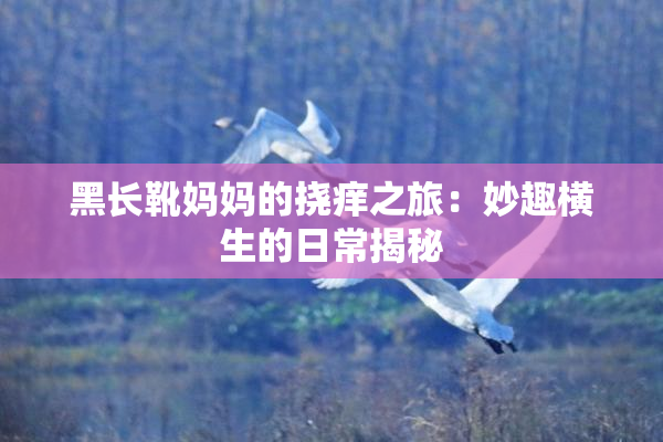 黑长靴妈妈的挠痒之旅：妙趣横生的日常揭秘