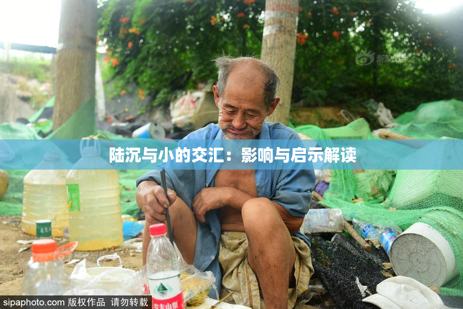 陆沉与小的交汇：影响与启示解读