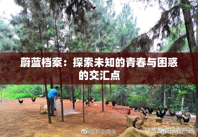 蔚蓝档案：探索未知的青春与困惑的交汇点