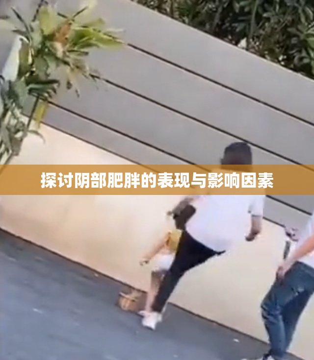 探讨阴部肥胖的表现与影响因素