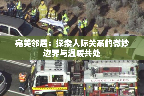 完美邻居：探索人际关系的微妙边界与温暖共处