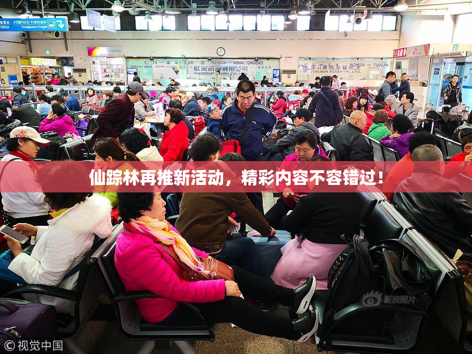 仙踪林再推新活动，精彩内容不容错过！