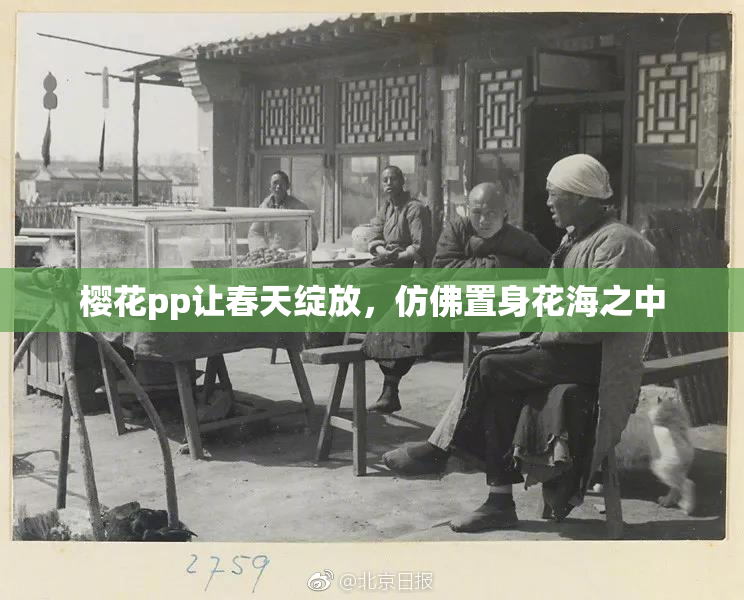 樱花pp让春天绽放，仿佛置身花海之中