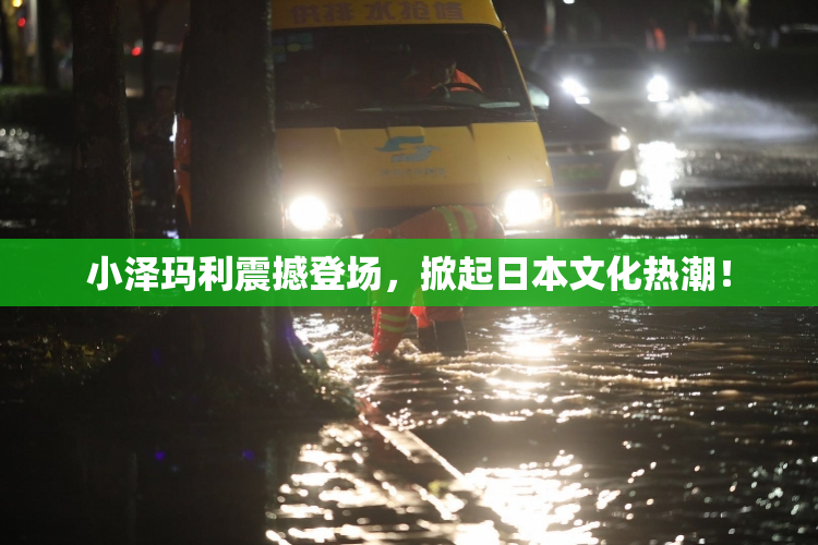 小泽玛利震撼登场，掀起日本文化热潮！