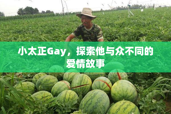 小太正Gay，探索他与众不同的爱情故事
