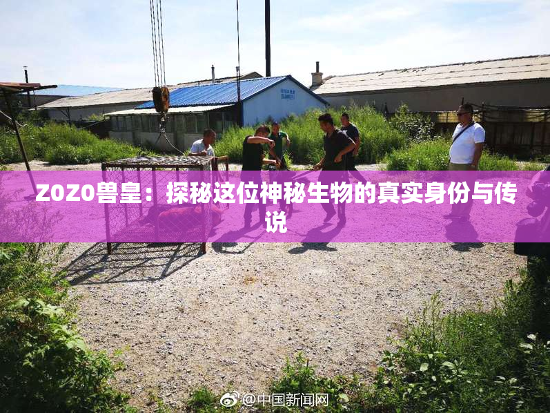 Z0Z0兽皇：探秘这位神秘生物的真实身份与传说