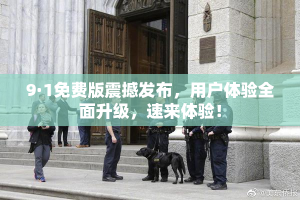 9·1免费版震撼发布，用户体验全面升级，速来体验！