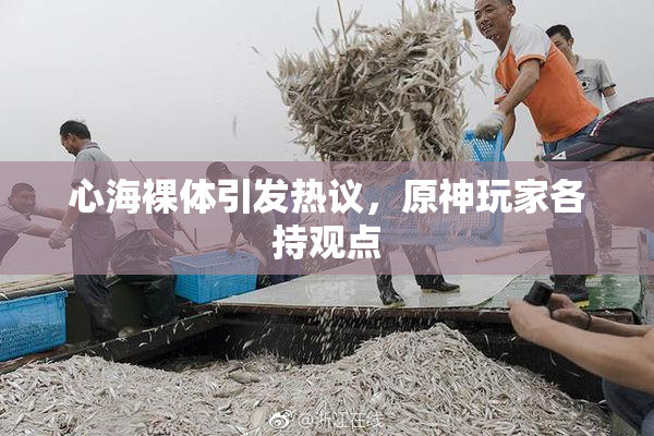 心海裸体引发热议，原神玩家各持观点