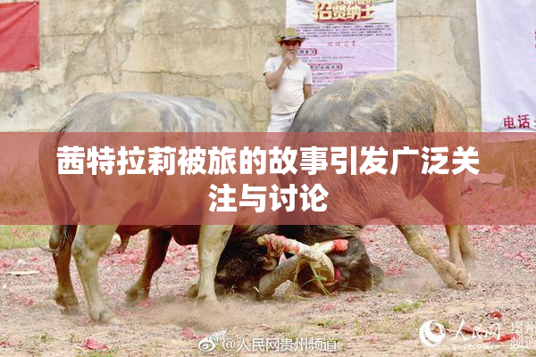茜特拉莉被旅的故事引发广泛关注与讨论
