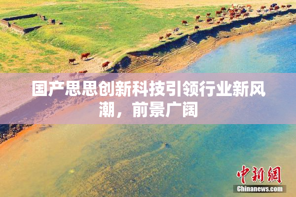 国产思思创新科技引领行业新风潮，前景广阔