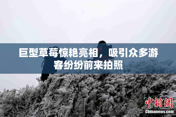 巨型草莓惊艳亮相，吸引众多游客纷纷前来拍照