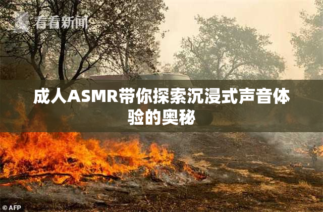 成人ASMR带你探索沉浸式声音体验的奥秘