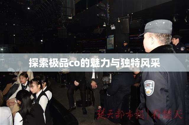 探索极品co的魅力与独特风采