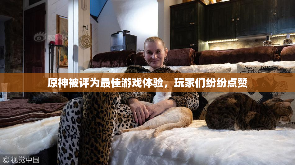 原神被评为最佳游戏体验，玩家们纷纷点赞