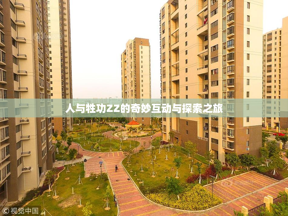 人与牲功ZZ的奇妙互动与探索之旅