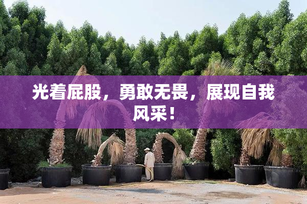 光着屁股，勇敢无畏，展现自我风采！