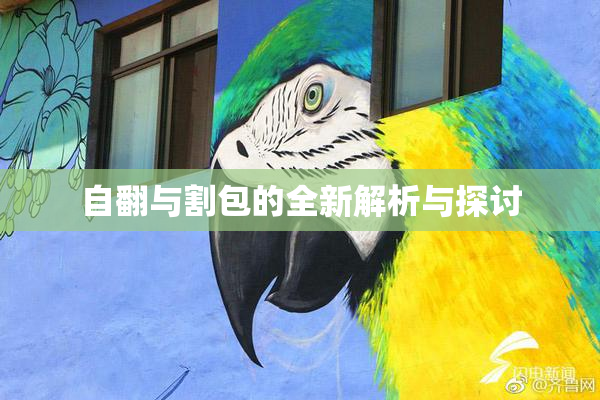 自翻与割包的全新解析与探讨