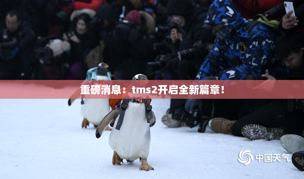 重磅消息：tms2开启全新篇章！