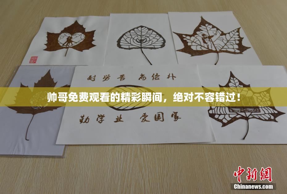 帅哥免费观看的精彩瞬间，绝对不容错过！