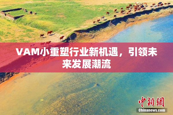 VAM小重塑行业新机遇，引领未来发展潮流