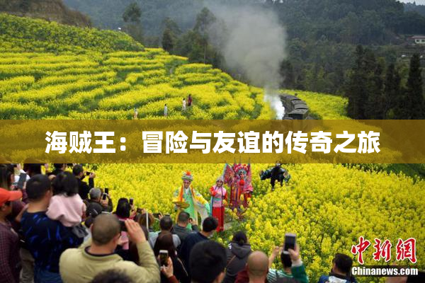 海贼王：冒险与友谊的传奇之旅