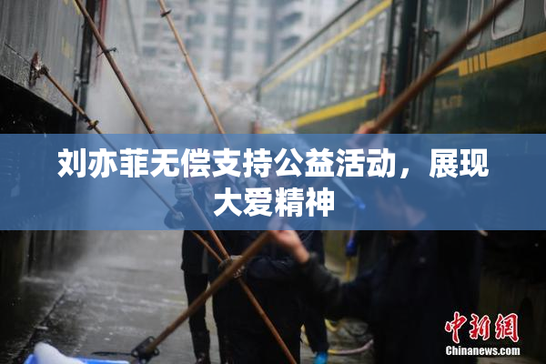 刘亦菲无偿支持公益活动，展现大爱精神