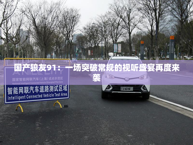 国产狼友91：一场突破常规的视听盛宴再度来袭