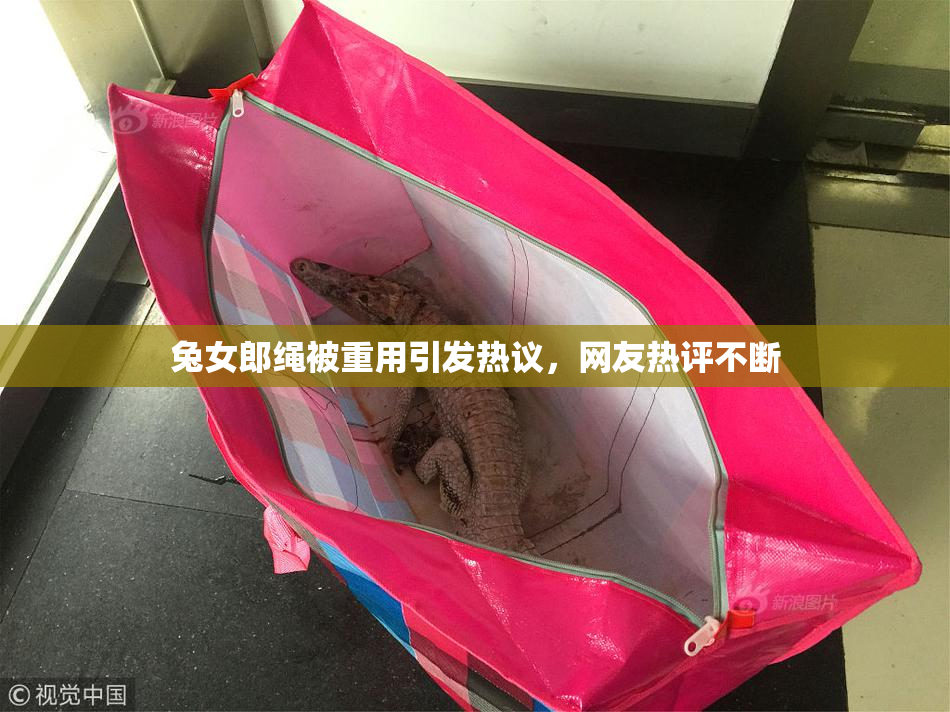 兔女郎绳被重用引发热议，网友热评不断